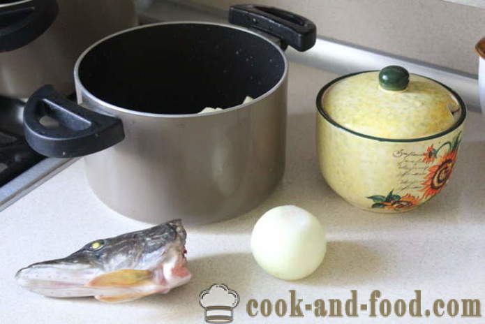 Sopa de pescado con la cabeza del lucio prepararon rápidamente - cómo cocinar sopa de pescado de una pica de forma rápida, paso a paso las fotos de la receta