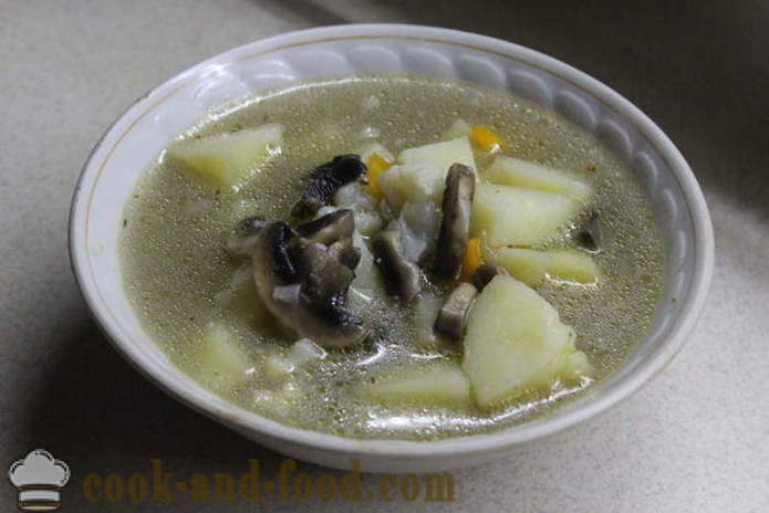 Sopa cremosa de setas y coliflor - cómo cocinar la sopa con setas, un paso a paso de la receta fotos