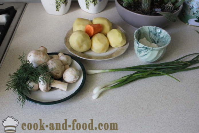 Sopa de patata con setas Checa - cómo cocinar sopa Checa con setas, un paso a paso de la receta fotos