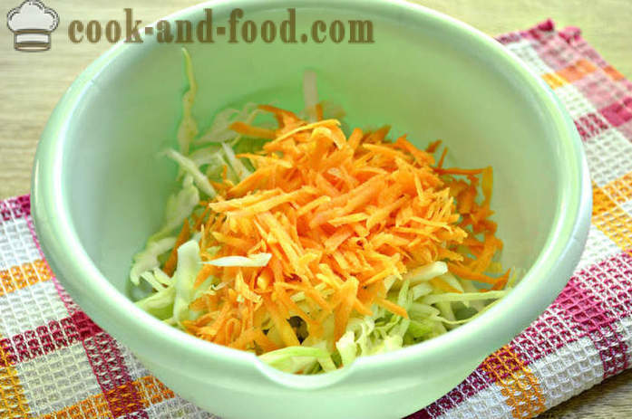 Paso a paso la receta foto de deliciosa ensalada de col y zanahoria fresca - cómo cocinar una deliciosa ensalada de col y zanahoria joven
