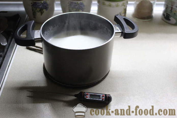 Yogur casero de la leche a fermentar - cómo hacer yogur en casa, paso a paso las fotos de la receta