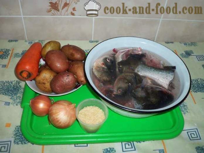 Sopa deliciosa de la carpa - cómo cocinar sopa de carpa, con un paso a paso las fotos de la receta