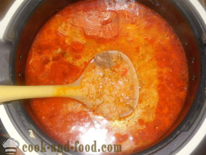 Kapustnyak deliciosa con la col fresca y mijo - kapustnyak a cocinar de col fresca en una olla a presión, un paso a paso de la receta fotos