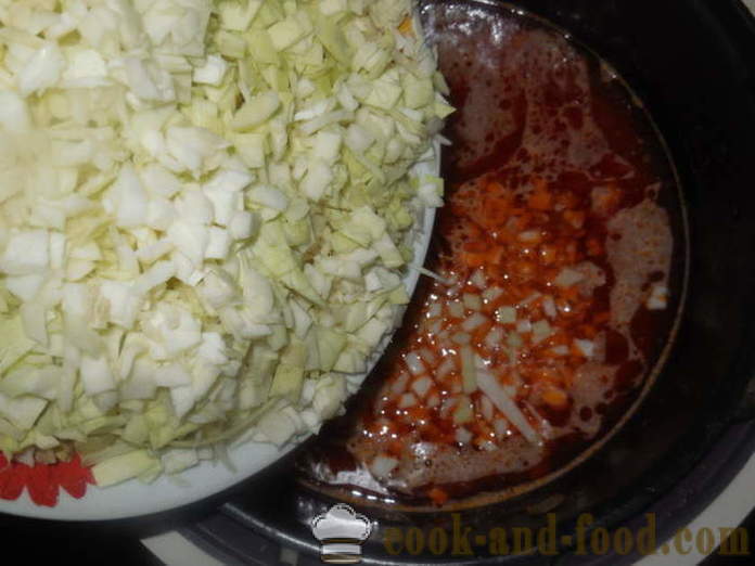 Kapustnyak deliciosa con la col fresca y mijo - kapustnyak a cocinar de col fresca en una olla a presión, un paso a paso de la receta fotos