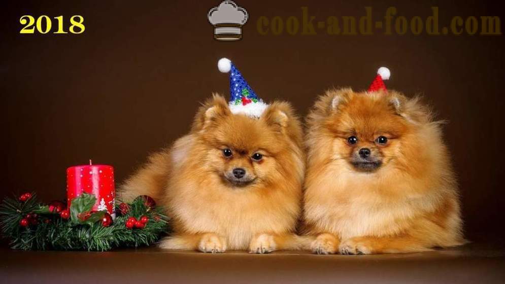 Fondos de Navidad libre de 2018 perros, perros y cachorros - descargar fondos de pantalla en su escritorio de forma gratuita