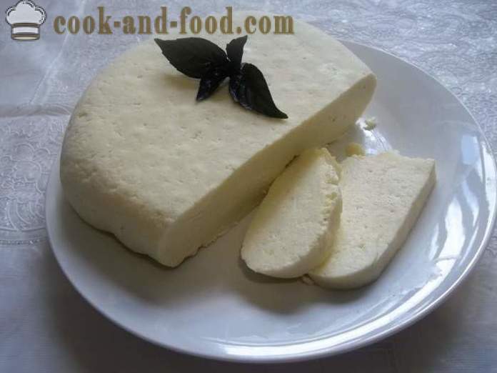 Queso de la casa de la leche - cómo hacer queso en casa, paso a paso las fotos de la receta