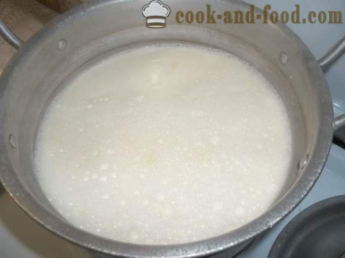 Queso de la casa de la leche - cómo hacer queso en casa, paso a paso las fotos de la receta
