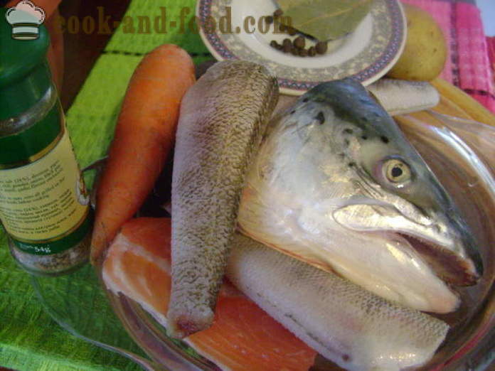 Oreja de la cabeza de los peces y otros peces diferente - cómo cocinar sopa de cabezas de pescado, un paso a paso de la receta fotos