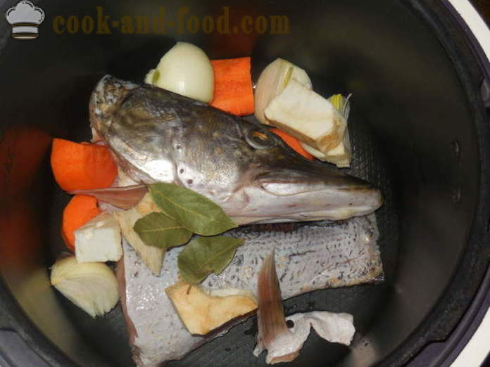 Una receta simple para la sopa de pescado de metas lucio multivarka - cómo cocinar sopa de cabeza desde casa lucio, paso a paso las fotos de la receta