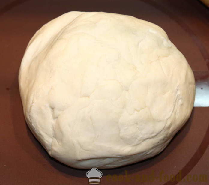 Pan de pita casera en una sartén - cómo hacer pan de pita sin levadura, un paso a paso de la receta fotos