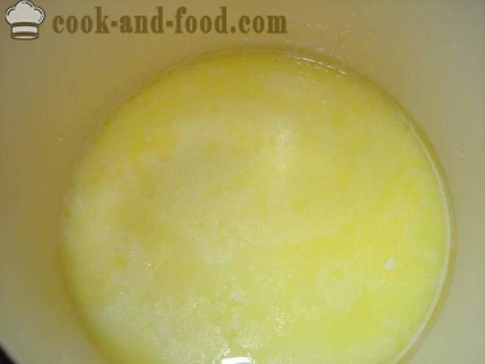 Los helados caseros a base de leche con el almidón - cómo hacer un helado en casa, paso a paso las fotos de la receta