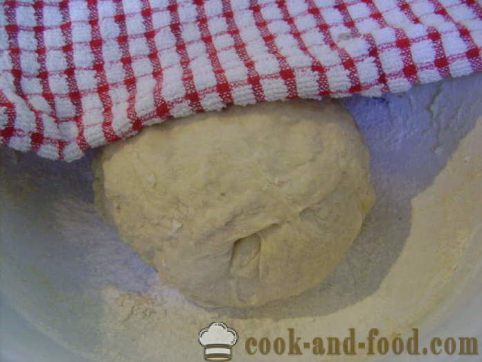 Masa de levadura para las empanadas fritas con leche - Cómo preparar masa de levadura para las empanadas, frito, con un paso a paso de la receta fotos