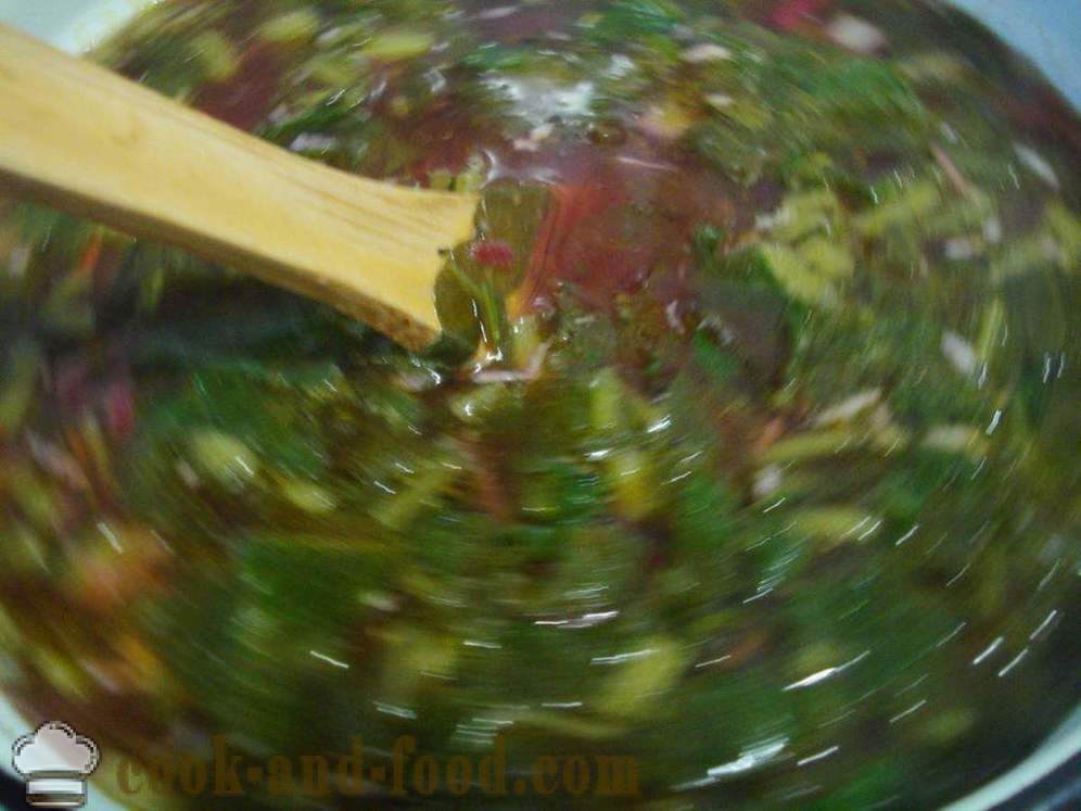 Sopa de verduras con acedera - cómo cocinar sopa con acedera, un paso a paso de la receta fotos