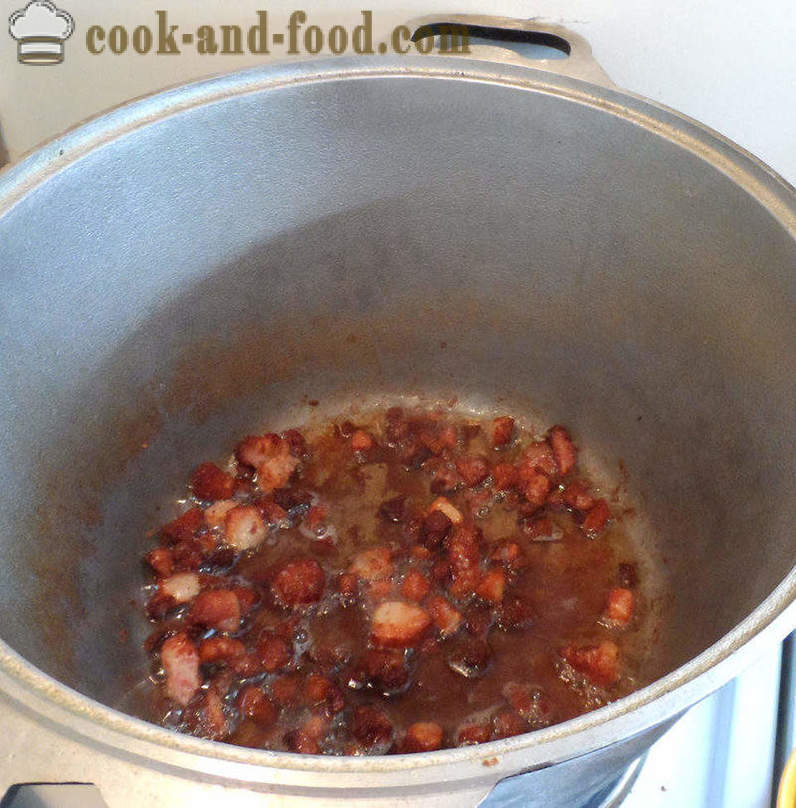 Bigus con col, carne y setas - cómo cocinar correctamente Bigus, un paso a paso de la receta fotos