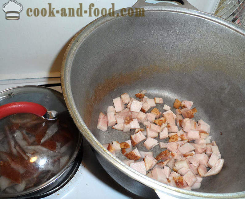 Bigus con col, carne y setas - cómo cocinar correctamente Bigus, un paso a paso de la receta fotos