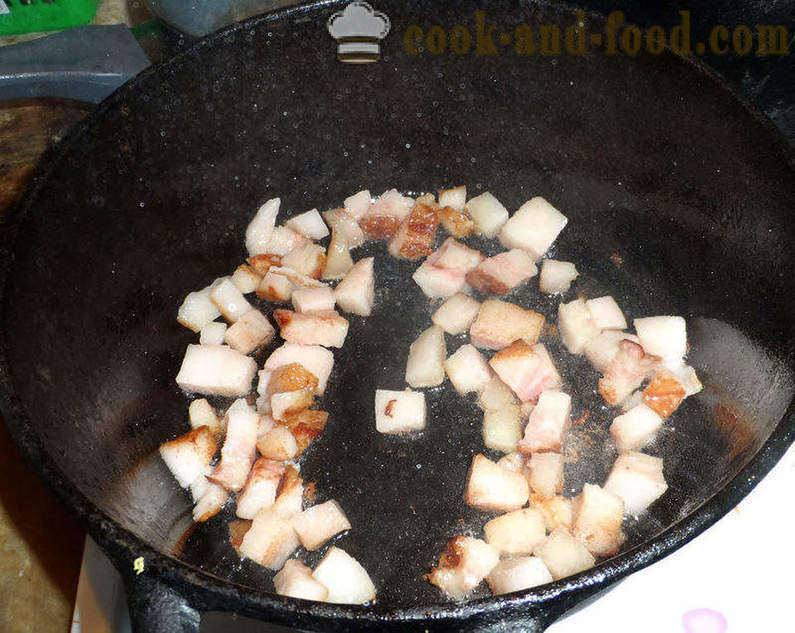 Bigus con col, carne y setas - cómo cocinar correctamente Bigus, un paso a paso de la receta fotos