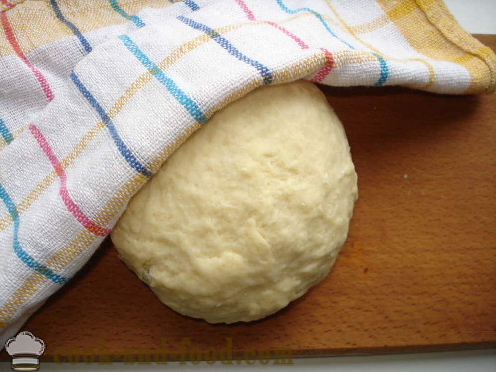 Torta de levadura con semillas de amapola en el horno - Cómo cocinar un pastel con semillas de amapola, un paso a paso de la receta fotos