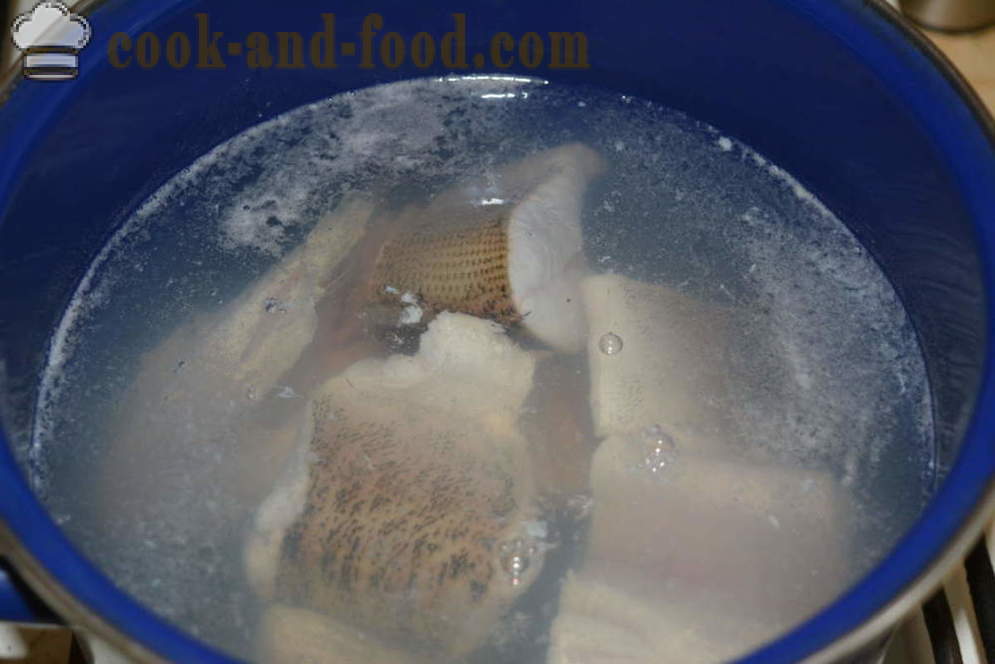 Sopa deliciosa del lucio en el hogar - cómo cocinar sopa de pescado de una pica, un paso a paso de la receta fotos