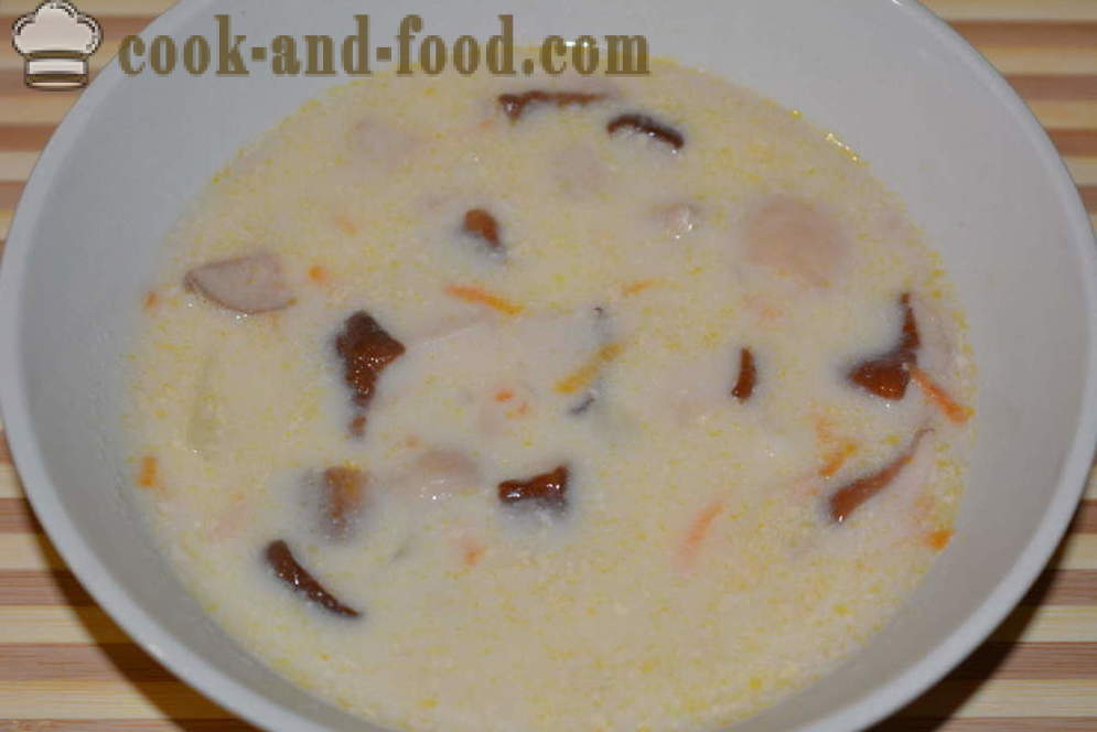 Sopa de champiñones frescos blancos con queso crema - Cómo cocinar sopa de setas con champiñones frescos y queso, con fotos paso a paso de la receta