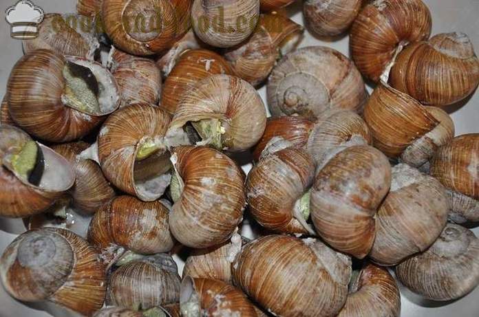 Preparación de los caracoles en casa - Cómo preparar caracoles deliciosa receta con una foto