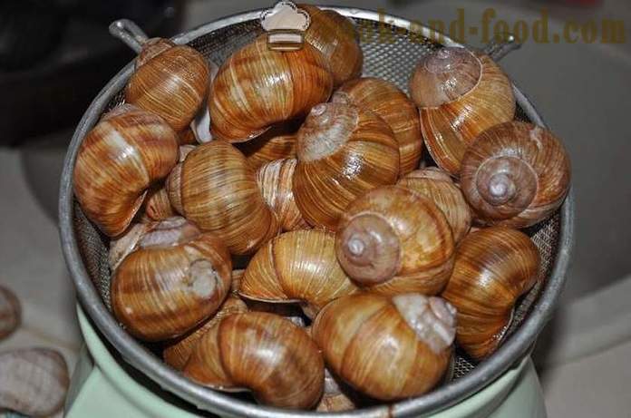 Preparación de los caracoles en casa - Cómo preparar caracoles deliciosa receta con una foto