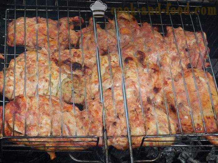 Pollo asado a la parrilla - deliciosos y suculentos pinchos de carne de pollo en salsa de tomate - un paso a paso de la receta fotos