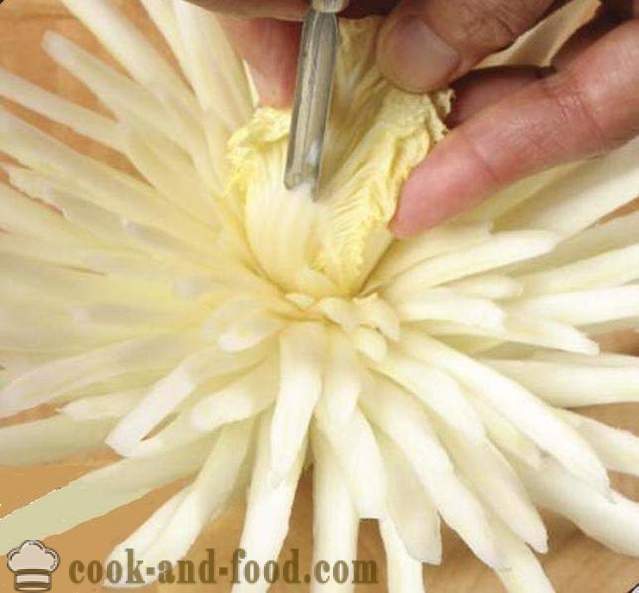 Talla para principiantes verduras: Flor del crisantemo de col china, fotos