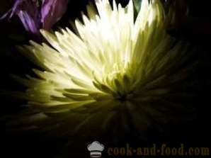 Talla para principiantes verduras: Flor del crisantemo de col china, fotos