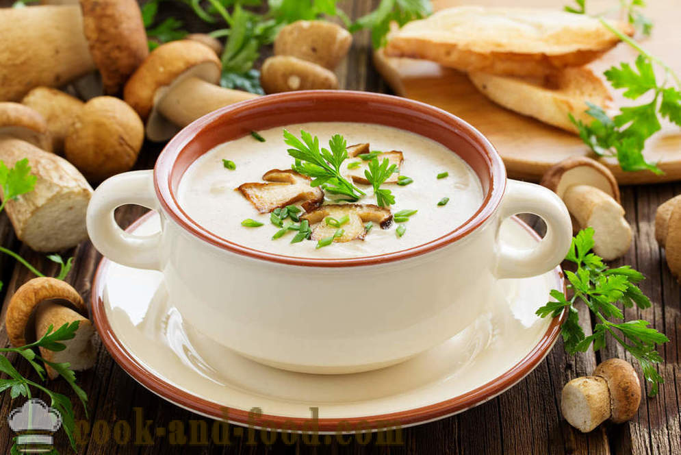 Blanco sopa de champiñones: dos recetas de deliciosos platos