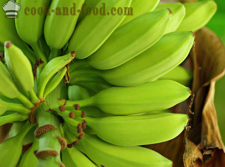 Plátano: africanos y asiáticos postre sopa - recetas video en el país